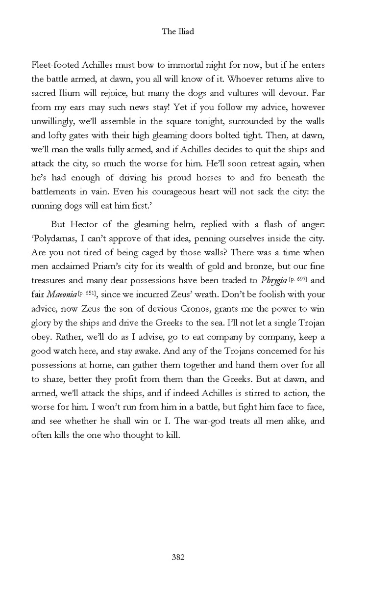The Iliad - Page 376